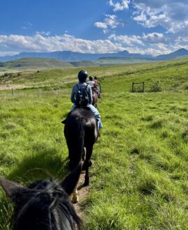 Horse Riding