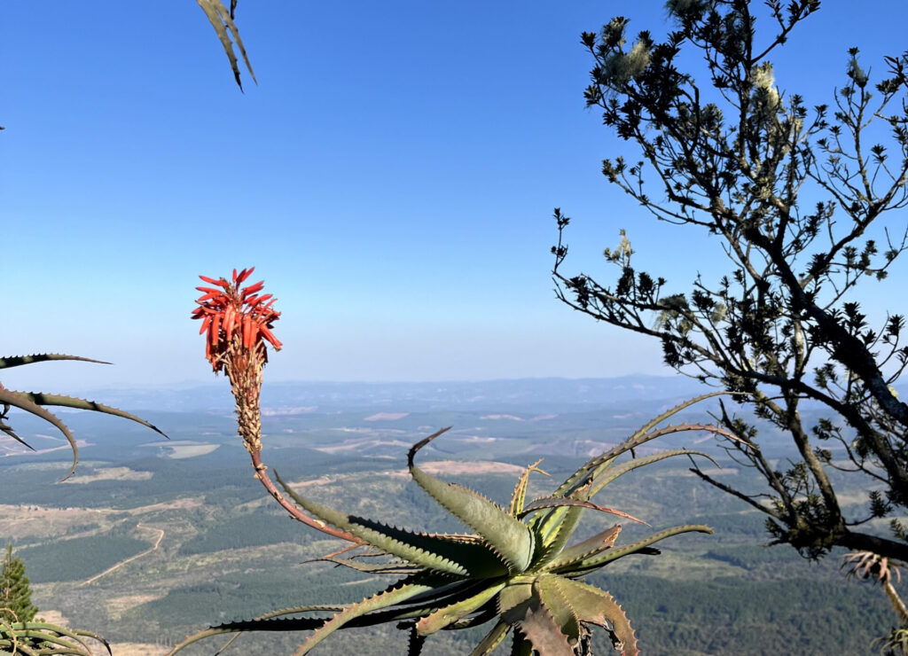eaTravel Mpumalanga Views
