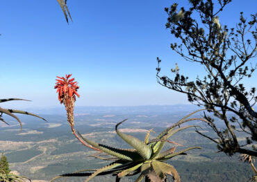 eaTravel Mpumalanga Views