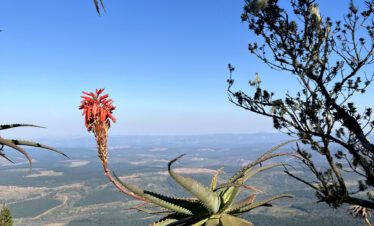 eaTravel Mpumalanga Views