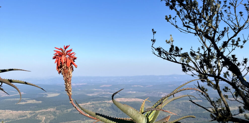 eaTravel Mpumalanga Views