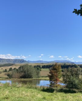 KwaZulu-Natal