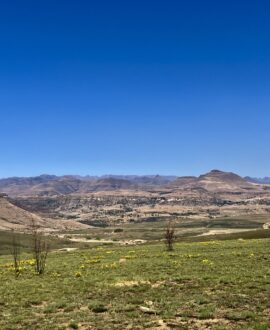 Free State
